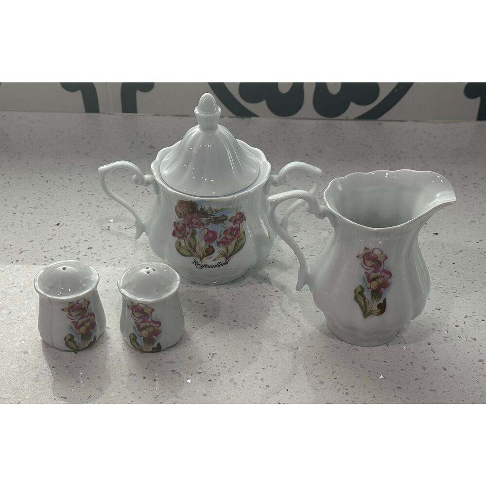 Mid Century Newfoundland Hand Painted Fine China Sugar Cream Salt Pepper Set